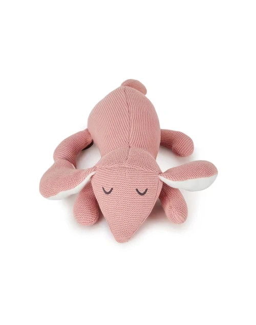 Red Poly Filled Cotton Dog Toy 4 Red Poly Filled Cotton Dog Toy