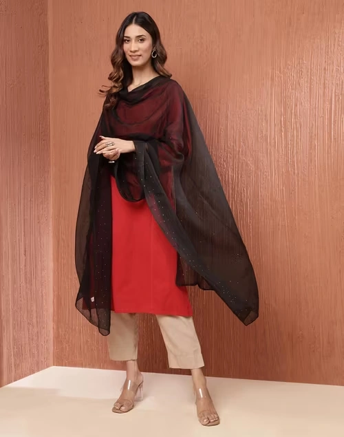 Black Cotton Silk Metallic Embroideries Dupatta