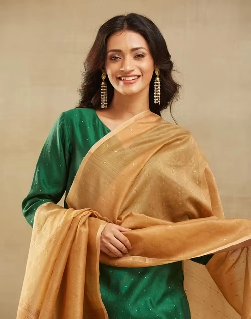 Beige Cotton Silk Blend Hand Woven Dupatta