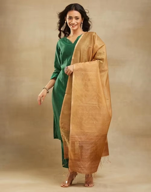 Beige Cotton Silk Blend Hand Woven Dupatta