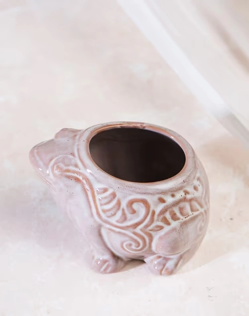 Jeevi Frog Planter - Beige