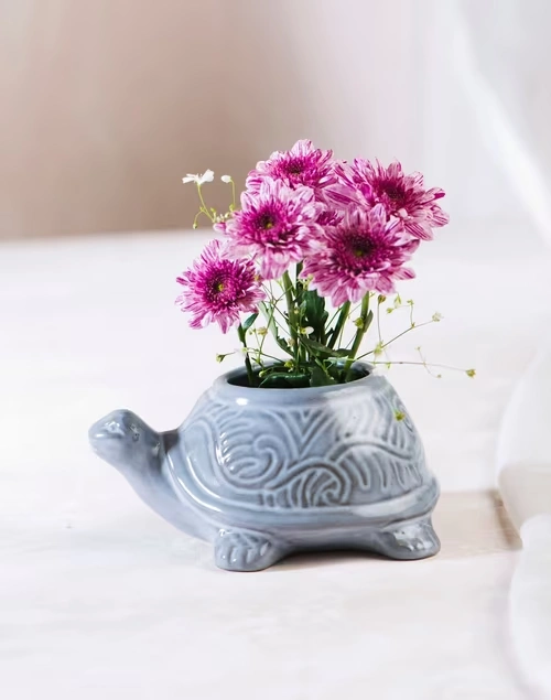Jeevi Tortoise Planter - Grey