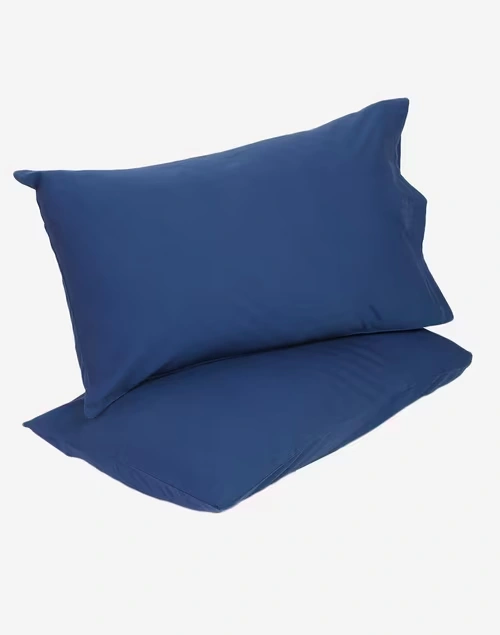 Indigo Cotton Woven Pillow Cover Set Of 2