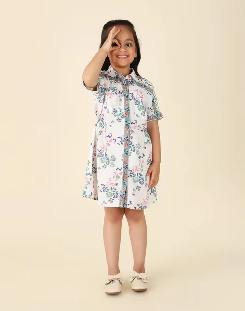 Multi Cotton Printed Dress