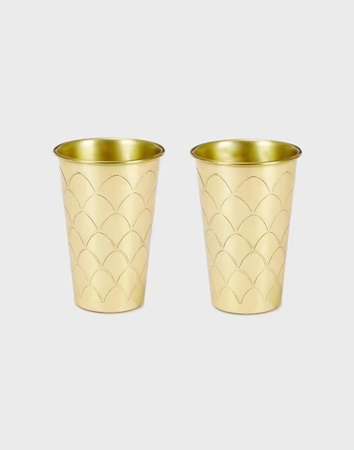 Falgun Brass Glass Gift Set of 2 4 Falgun Brass Glass Gift Set of 2